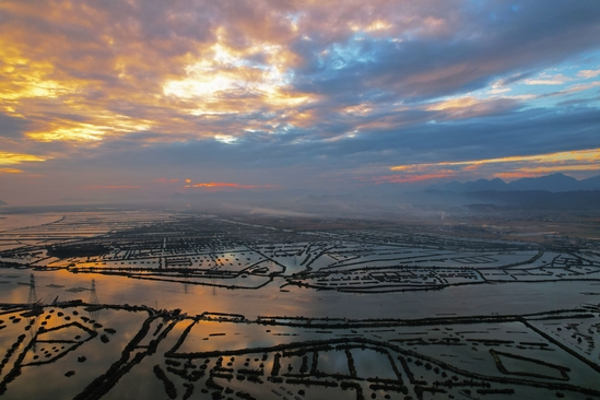 广东汕尾市城区耕地集中整治区项目海梧地块(摄贵州公司 赵君一).jpg